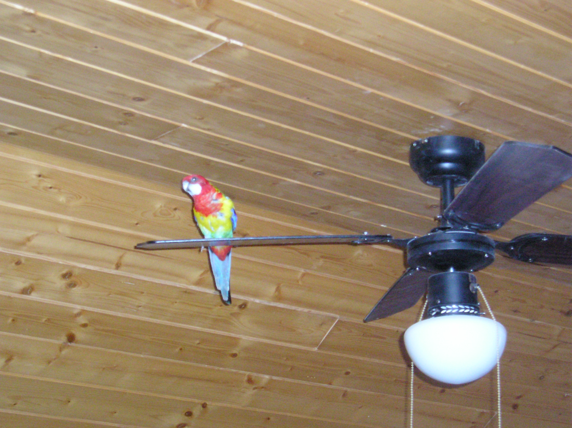 P1010131.JPG